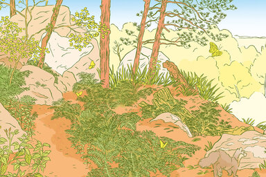 illustration de la manifestation 