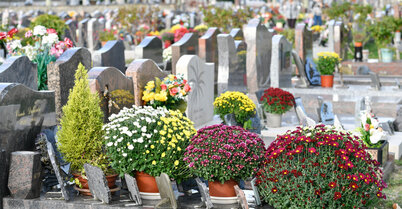 Cimetiere naturel de Souche