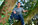 Portrait de Baptiste Treny fondateur de createur de foret